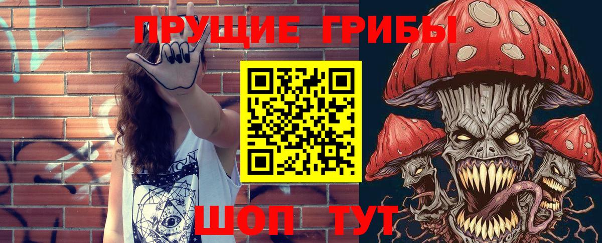 Ростов Великий  Псилоцибиновые грибы MAGIC MUSHROOMS  Вход с VPN 