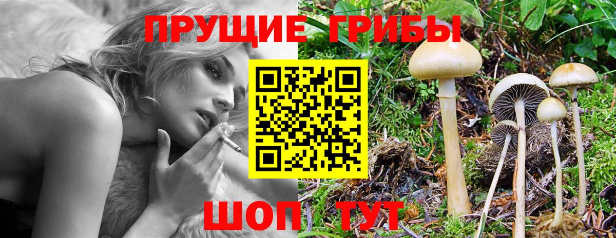 Псилоцибиновые грибы MAGIC MUSHROOMS Ростов Великий